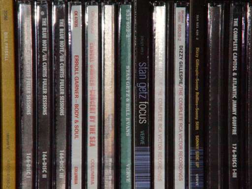 Photo taken at full zoom without a diopter — wide coverage, about 14 CD-widths across
